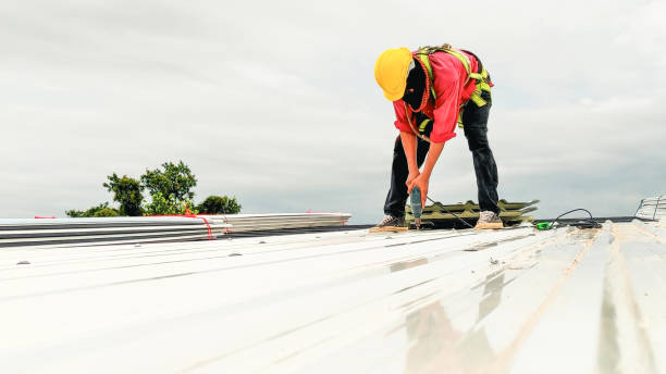 Best Sheet Metal Roofing  in Kirkl, IN