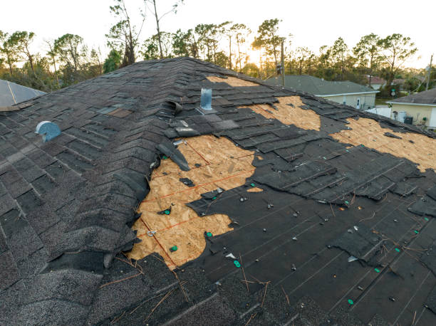 Best Asphalt Shingles Roofing  in Kirkl, IN
